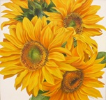 Sunflower Oils by Sandria Savory